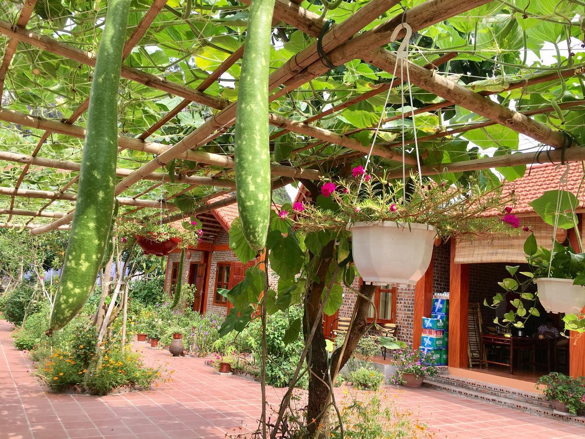 Tam Coc Friendly Homestay Ninh Binh Eksteriør bilde
