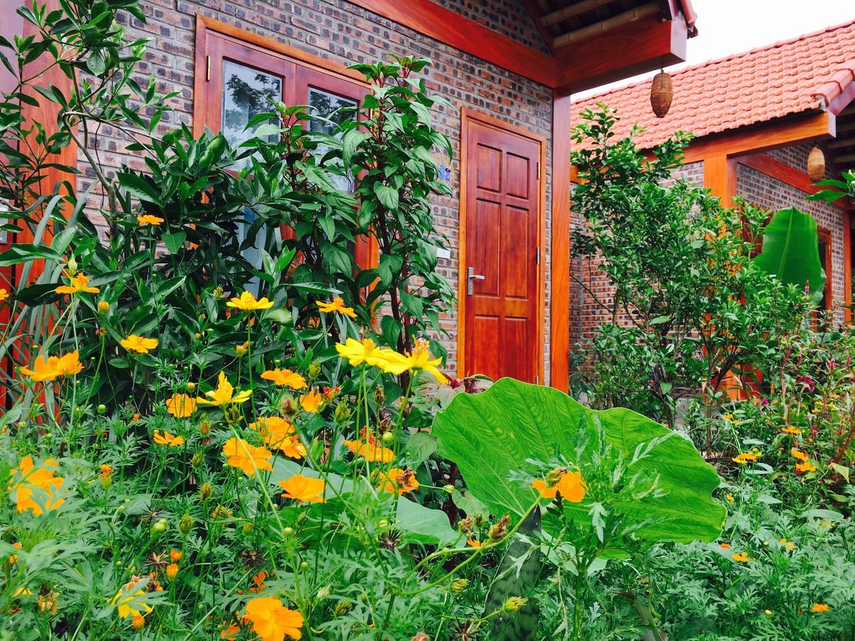 Tam Coc Friendly Homestay Ninh Binh Eksteriør bilde